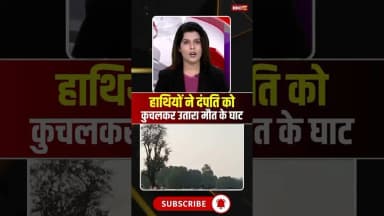 Sidhi Elephant Attack : हाथियों ने दंपति को कुचलकर उतारा मौत के घाट #elephant #elephantattack