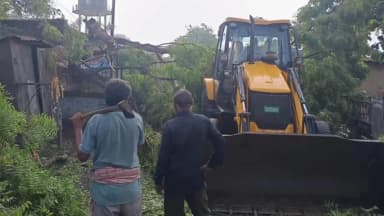 अक्राणी: धडगाव शहरासह तालुक्यात वादळी वारा व पावसामुळे मोठे नुकसान, झाडांसह वीज खांबे कोसळले