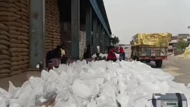 अनूपगढ़: समर्थन मूल्य पर गेहूं की खरीद की समय सीमा न बढ़ने से किसान, व्यापारी और मजदूरों को हो रही परेशानी