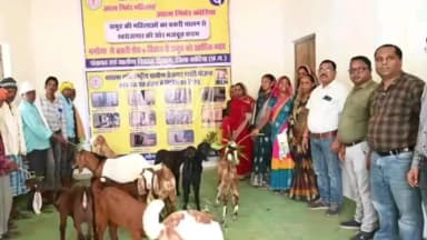 बैकुंठपुर: मनरेगा ने संवारा पशुपालकों का भविष्य, 10 हितग्राहियों को वितरित किए उन्नत नस्ल के बकरे