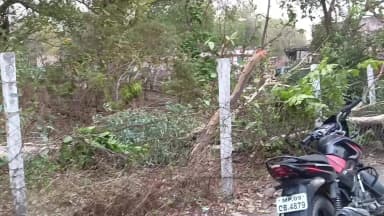 खंडवा नगर: खंडवा में तूफानी हवाओं का कहर, बाजारों में धूल और सड़कों पर बिखरे पत्ते