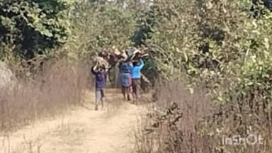 नौडीहा बाज़ार: नौडीहा बाजार में ईंधन संकट, लोग लकड़ी के चूल्हे पर खाना बनाने को मजबूर