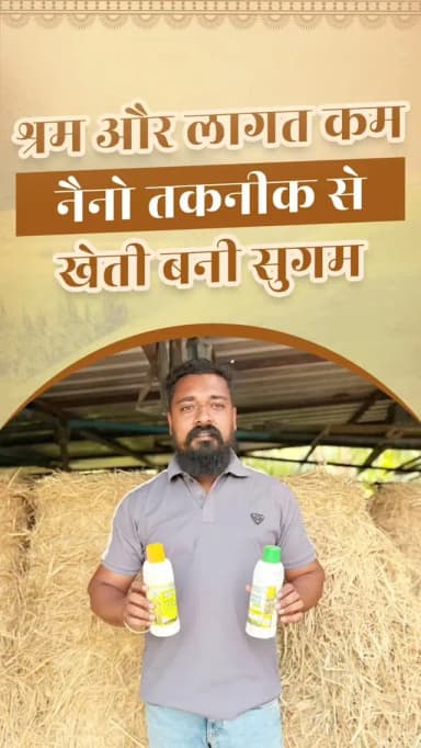 नैनो यूरिया बना बेहतर उत्पादन का आधार
कांकेर जिले के प्रगतिशील किसान श्री निखिल साहू पिछले दो वर्षों से नैनो यूरिया का उपयोग कर रहे हैं। इसके सकारात्मक परिणामस्वरूप उन्हें धान की फसल में बेहतर उत्पादन प्राप्त हो रहा है।
नैनो यूरिया का उपयोग सरल, सुगम और सुविधाजनक है। इसकी कम मात्रा, आसान परिवहन और समय पर उपलब्धता से खेती के कार्यों में सुविधा मिल रही है, साथ ही लागत और श्रम की भी बचत हो रही है।
CMO Chhattisgarh DPR Chhattisgarh