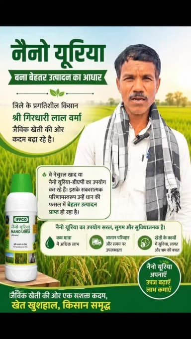 नैनो यूरिया बना बेहतर उत्पादन का आधार जिले के प्रगतिशील किसान श्री गिरधारी लाल वर्मा जैविक खेती की ओर कदम बढ़ा रहे है। वे नेचुरल खाद या नैनो यूरिया-डीएपी का उपयोग कर रहे हैं। इसके सकारात्मक परिणामस्वरूप उन्हें धान की फसल में बेहतर उत्पादन प्राप्त हो रहा है।
#kcgdistrict #chhattisgarh #NanoUrea_NanoDAP