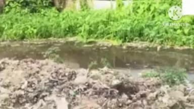 সৰুপথাৰ: উৰিয়ামঘাটত এটা নলাৰ বাবেই দুৰ্ভোগ ভোগ কৰাৰ গুৰুত্বৰ অভিযোগ ৰাইজৰ,শীঘ্ৰেই প্ৰশাসনক ব্যৱস্থা গ্ৰহণৰ দাবী