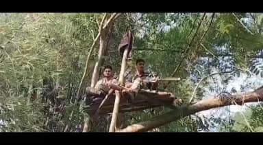 పాడేరు: అల్లూరి జిల్లా: రంపచోడవరం ప్రాంతంలో పులి బంధనానికి ప్రాణాలకు తెగించి అటవీశాఖ యుద్ద ప్రాతిపదిక ఆపరేషన్