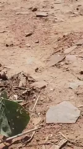 मकान मिटाते हुए चंदेरी का वीडियो हुआ वायरल