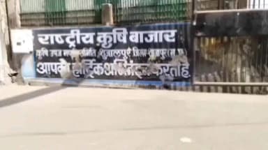 शुजालपुर: सुजालपुर की कृषि उपज मंडी में गेहूं 4300रु क्विंटल और सोयाबीन 7260रु क्विंटल तक बिका।