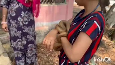 कटनी नगर: खाली पड़े रेलवे क्वाटर में मिला दुर्लभ प्रजाति का सर्प रेड सैंड बोआ, अंतरराष्ट्रीय बाजार में करोड़ों रुपए है कीमत