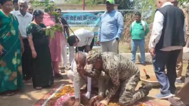 जालौन: तहसील परिसर में विश्व पर्यावरण दिवस के अवसर पर एसडीएम ने करवाए पौधे रोपण