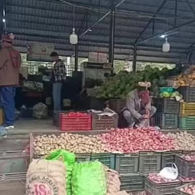 टापरी: टापरी सरकारी सब्जी मंडी में उचित दाम पर मिल रहीं सब्जियाँ और फल, सैकड़ों लोग कर रहे खरीददारी