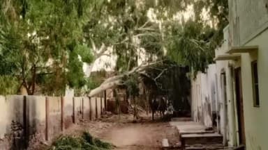 कोलायत: तेज आंधी-तूफान और बारिश से कोलायत क्षेत्र में भारी नुकसान, 250 से अधिक बिजली के पोल गिरे