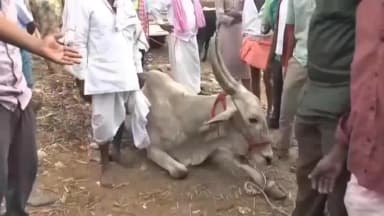ಕೊಪ್ಪಳ: ಗಿಣಿಗೇರಿ ಗ್ರಾಮದಲ್ಲಿ ಪುನೀತ್ ಕೆರಹಳ್ಳಿಗೆ ರೈತರ ಓಪನ್ ಚಾಲೆಂಜ್;ಜಾನುವಾರ ಮಾರಾಟವಿಲ್ಲದೆ ರೈತರಿಗೆ ಸಂಕಷ್ಟ