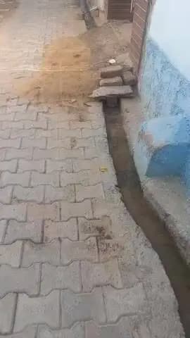 दौगडा अहीर :-नाली का पानी पडोसी ने ईट रेत डालकर बंद कर दिया और ईटे बरसाई। पुलिस शिकायत करने पर भी कोई कार्रवाई नही हुई