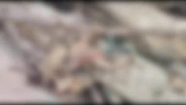 सेन्हा: सेन्हा अरू गांव में नवजात का क्षत-विक्षत शव बरामद,हत्या कर दफनाने की आशंका जांच में जुटी सेन्हा पुलिस.