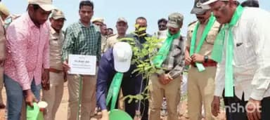 కొత్తగూడెం: పర్యావరణాన్ని పురస్కరించుకొని అటవీశాఖ ఆధ్వర్యంలో ఏర్పాటుచేసిన ముక్కలు నాటే కార్యక్రమంలో పాల్గొన్న జిల్లా కలెక్టర్