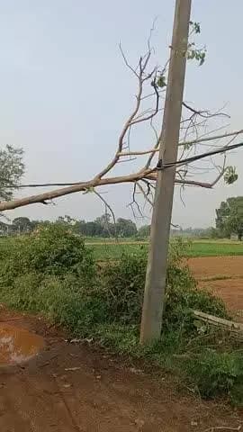 Dhamnatand Chaitanya international School ke paas Rod me Kal 4 tarikh Raat Bhari Aandhi barish aaya jismein ek ped Tut