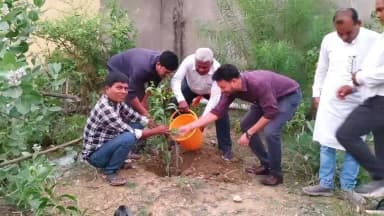 अकलतरा: अकलतरा के SDM और तहसीलदार ने विश्व पर्यावरण दिवस पर किया पौधरोपण, लोगों से अधिक से अधिक पेड़ लगाने की अपील की