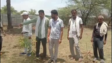 टेहरोली: टहरौली में जिला पंचायत अध्यक्ष ने तहसील परिसर में वृक्षारोपण किया