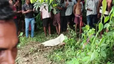 ଆନନ୍ଦପୁର: ଆନନ୍ଦପୁର ମହାବିଦ୍ୟାଳୟ ପଛ ପଟକୁ କଜଲେଇ ବାଡ଼ିରେ ମହିଳାଙ୍କୁ ଦଳିଦେଲା ହାତୀ, ଘଟଣା ସ୍ଥଳରେ ମହିଳାଙ୍କମୃତ୍ୟୁ