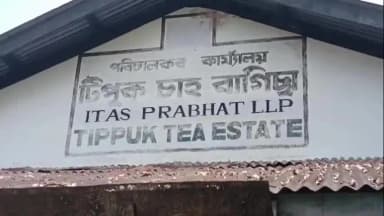 ডুমডুমা: *Doomdooma news*
ডুমডুমাৰ টিপুক চাহ বাগিচাত বিভিন্ন সমস্যা সমাধানৰ দাবীত শ শ শ্ৰমিকৰ উত্তাল প্ৰতিবাদ