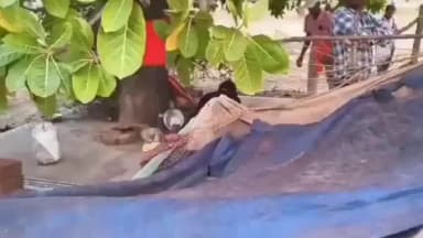 सक्ती: पंडरिया धाम में 14 से 16 जून तक त्रिदिवसीय धार्मिक आयोजन