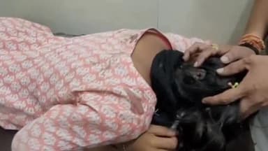 दमोह: पन्ना जिले के बनौली मे 17 वर्षीय बालिका के सिर में कारतूस का खोका मिलें से सनसनी, गंभीर हालत जिला अस्पताल मे कराया भर्ती