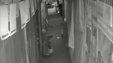 सिमडेगा: सिमडेगा शहरी क्षेत्र के डेली मार्केट स्थित खाद बीज की दुकान में हुई चोरी सीसीटीवी में हुआ वारदात कैद