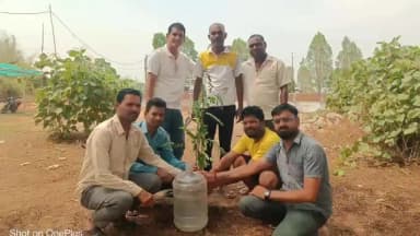 पलारी: विश्व पर्यावरण दिवस पर भाजपा रोहांसी मंडल ने किया पौधारोपण, दिया पौधारोपण का संदेश