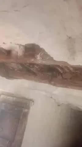 ग्राम चोंगा चांदनी बिहार पुर जिला सूरजपुर छत्तीसगढ़ घर का मामला