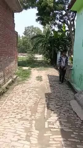 gram dhanwa block shergarh