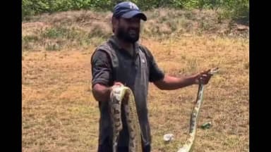 పలాస: పలాస మండలం దేశభట్టి కాలువ వద్ద కొండచిలువ సంచారం భయాందోళనకు గురైన ప్రజలు