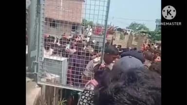 बगहा: बगहा में टावर पर चढ़ी युवती,मौके पर पहुंची पुलिस ने समझा कर उतारा