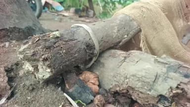 ధర్మారం: రాత్రి ఈదురుగాళ్లకు కూలిపోయిన పూరిగుడిసె