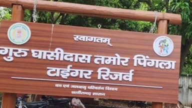 बैकुंठपुर: कोरिया जिले में रविवार देर रात दंतैल हाथी ने सड़क निर्माण में लगे दो मजदूरों पर किया हमला, मौके पर हुई मौत