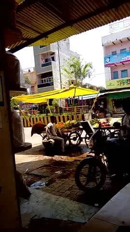 thele balo ki kanmani #
