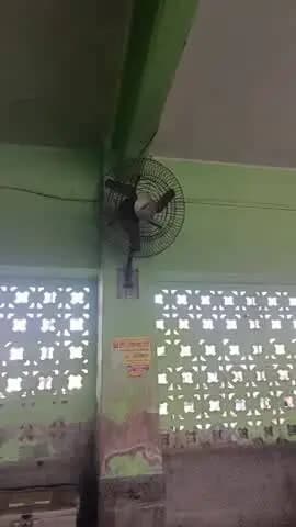 Ratangarh bus stand depot
में 42 डिग्री गर्मी में भी fan पंखे चालू नहीं ।