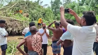 ଯାଜପୁର: କାଳବୈଶାଖୀ ଯୋଗୁ ମାଳଆନନ୍ଦପୁର ଗାଁରେ ବଡ଼ବଡ଼ ଗଛ ଉପୁଡି ରାସ୍ତା ଅବରୋଧ, ଅଗ୍ନିଶମ କର୍ମଚାରୀଙ୍କ ଦ୍ୱାରା ସଫେଇ କାର୍ଯ୍ୟ ଆରମ୍ଭ