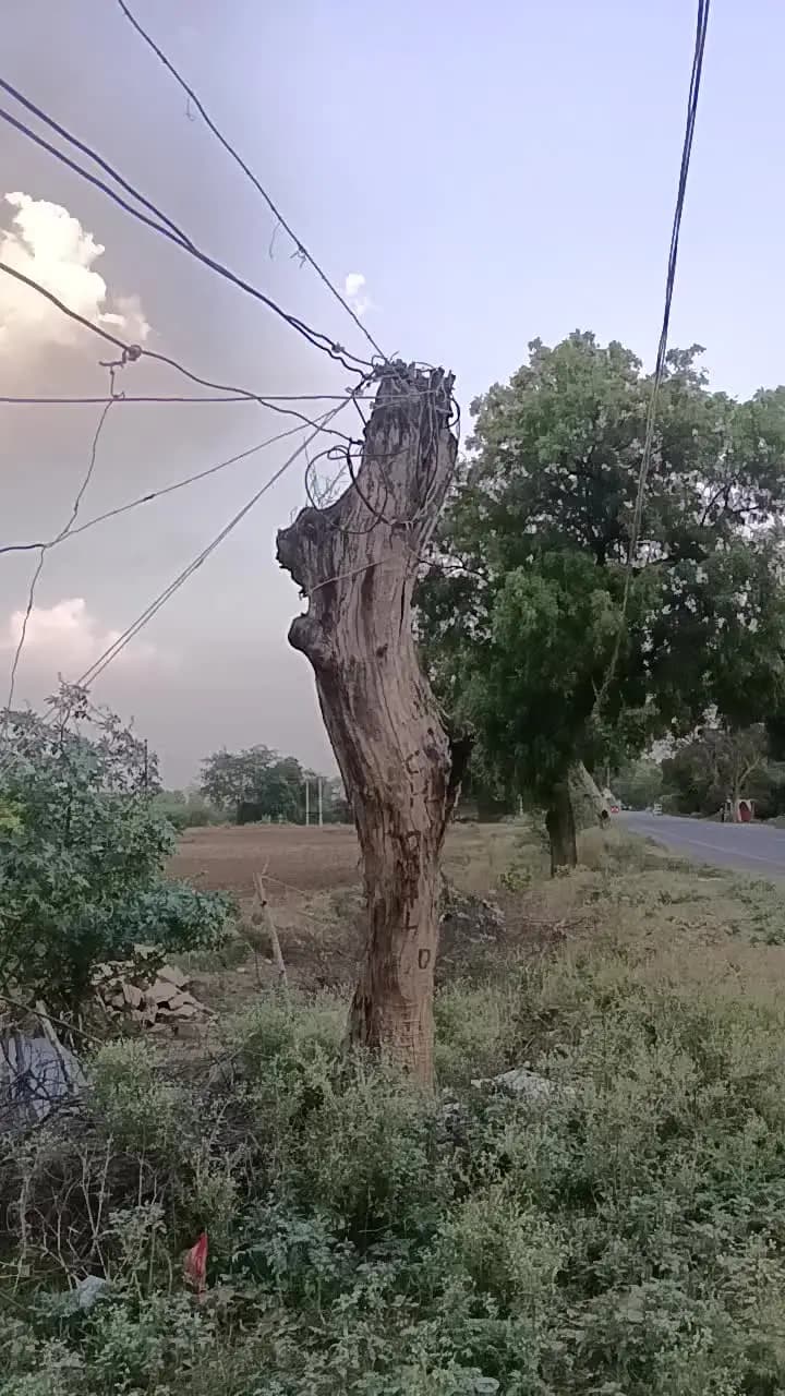 save colony akloni men road per do khambe ki jarurat hai aur line Neem Se bandh kar Rakhi Gai hai jaldi do khambe ki S