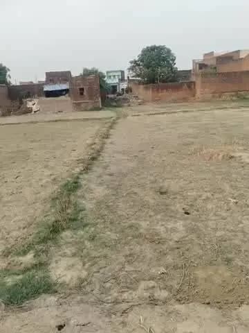 यह जमीन विवादित है बसाढी 241खरोजा 123 मौजा का है
इस जमीन पर केसे चल रहा है
थाना इलीया चकिया जिला चंदौली
उत्तर प्रदेश