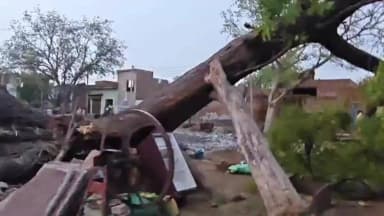 महावन: जमुना पार के नगला भैसरा में आंधी-तूफान से विशाल पेड़ गिरने से 2 बच्चे हुए घायल