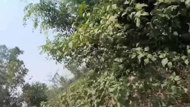 बीसलपुर: रेलवे क्रॉसिंग नहर के पास खेत में संदिग्ध अवस्था में युवक का शव मिलने से सनसनी, पुलिस जांच में जुटी