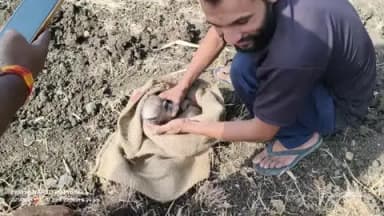 आज ग्राम कारवार हेटी में बंदर के बच्चे का रेस्क्यू किया बंदर के बच्चे की बचाई जान कुएं में से निकाल कर बचाई उसकी जान