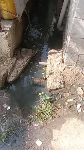 ग्राम पंचायत खकनार के वार्ड क्रमांक 13 में वर्षों से नाली साफ नहीं की गई ग्रामीण हो रहे परेशान
