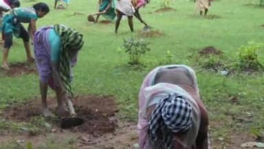 मोहला: मोहला-मानपुर-अंबागढ़ चौकी की ग्रामीण महिलाओं और किसानों ने आत्मनिर्भरता की एक नई इबारत लिखी