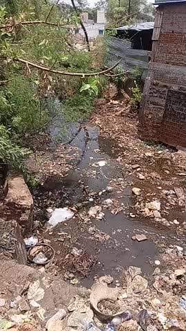 ki Nagar Palika ward number 4 Eklavya Nagar ka area Hai Jahan per ka Nala ko aapko video mein dikhaya hun bilkul kuda ka
