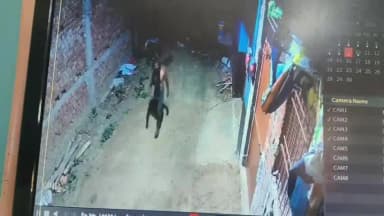 शेखपुरा: दल्लू चौक स्थित मुर्गी फार्म में 70 हजार की चोरी, CCTV में कैद हुए चोर