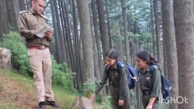 सलूनी: जंगल में मिले करीब 40 कटे हुए पेड़ों के ठूंठ, 5 ठूंठ ऐसे हैं जिन पर नहीं है किसी प्रकार का विभागीय हैमर