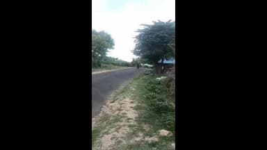 தாளவாடி: மல்லன் குழி பகுதியில் ஊருக்குள்ள புகுந்த யானை அலறி அடித்த ஓடிய மக்கள் வீடியோ சமூக வலைத்தளங்களில் பரவி வைரல்