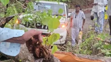 ମାଲକାନଗିରି: ଗଛ ପଡ଼ି ବିଧାୟକ ମଙ୍ଗୁ ଖିଲଙ୍କ ଗାଡ଼ି ଦୁର୍ଘଟଣାଗ୍ରସ୍ତ, ଅଳ୍ପକେ ବର୍ତ୍ତିଲେ ବିଧାୟକ ମଙ୍ଗୁ ଖିଲ